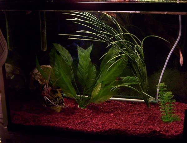 000_0999.jpg