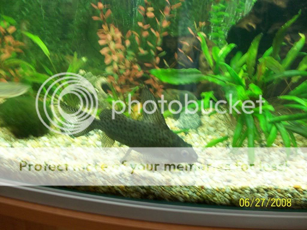 100_0101.jpg