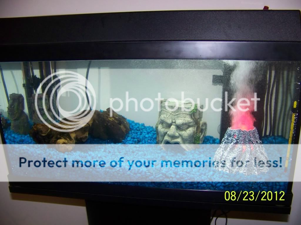 100_2961.jpg
