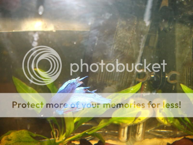 DSCF2422.jpg