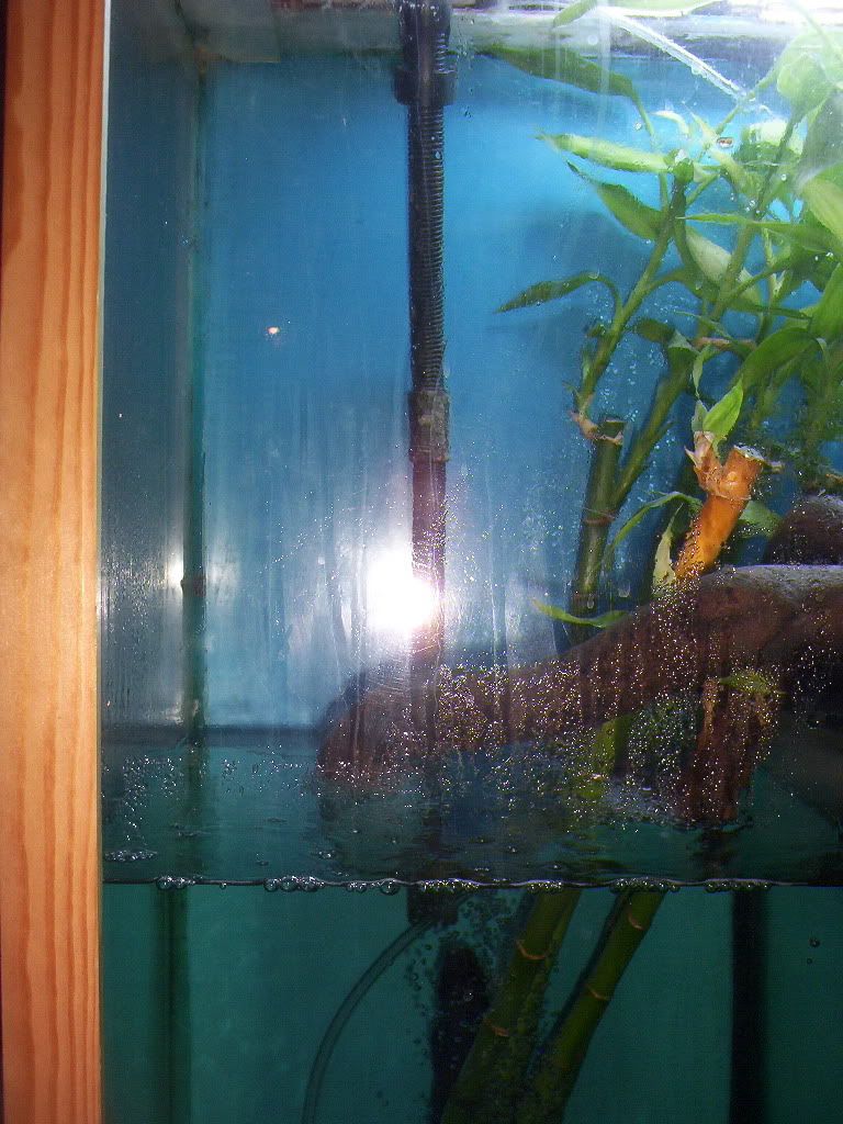 100_2072.jpg