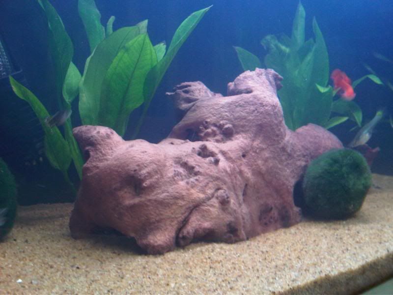 rescape3.jpg