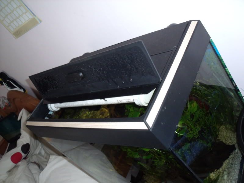 DSCF1888.jpg