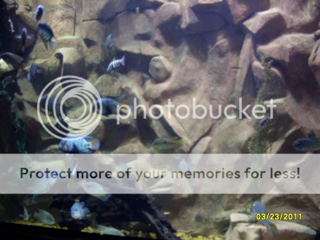 SDC12609.jpg