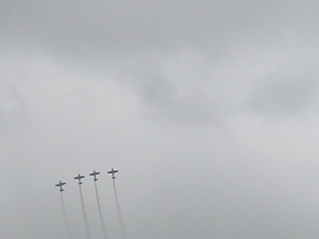 waddington029.jpg