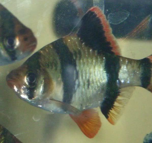 RIMG0602.jpg