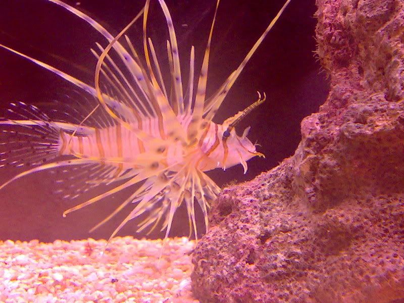 28072007643.jpg