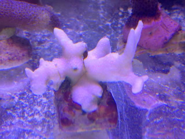 20122010380.jpg