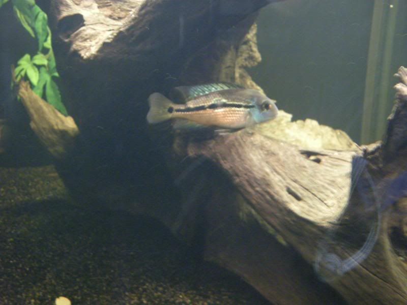 DSCN2434.jpg