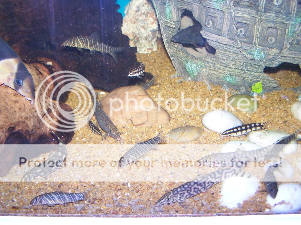 100_6035.jpg