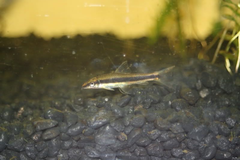 20g1month4.jpg