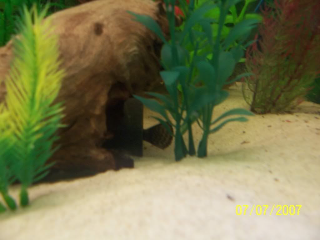 100_2534.jpg