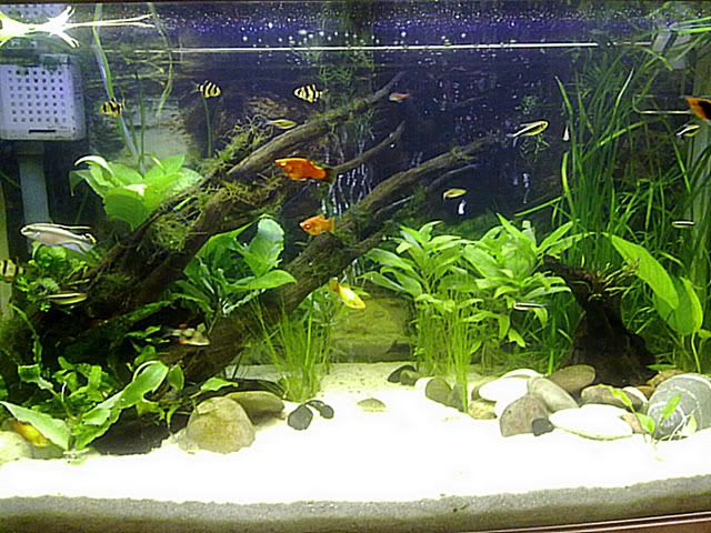 21022012768.jpg