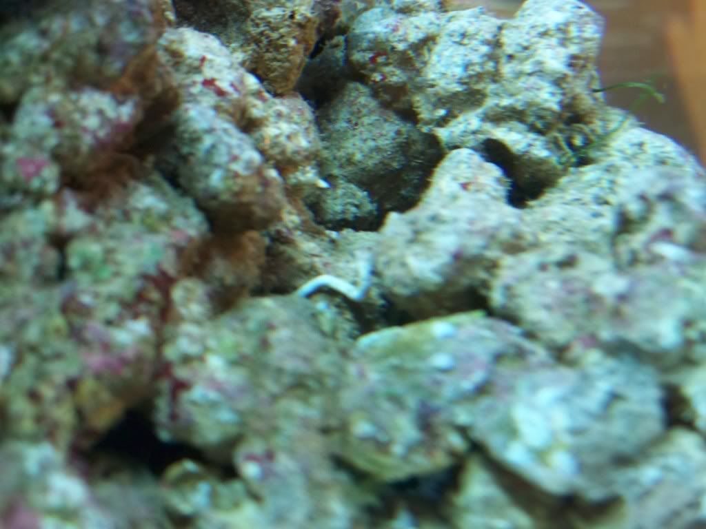 100_1055.jpg