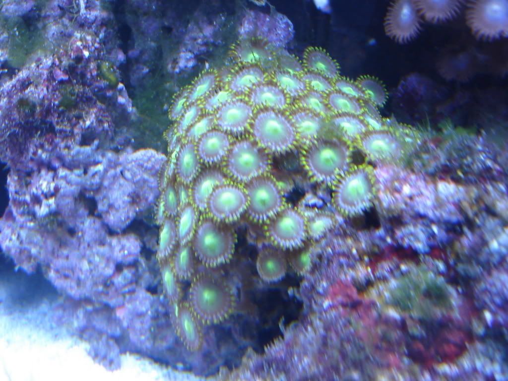DSC01344.jpg
