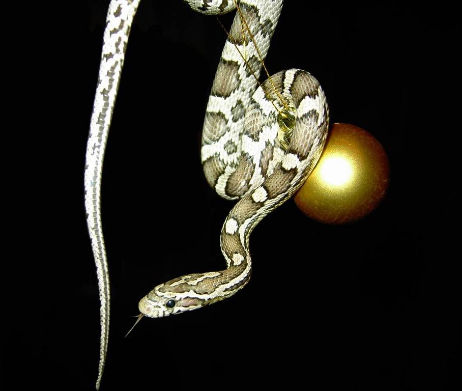 PICT9.jpg
