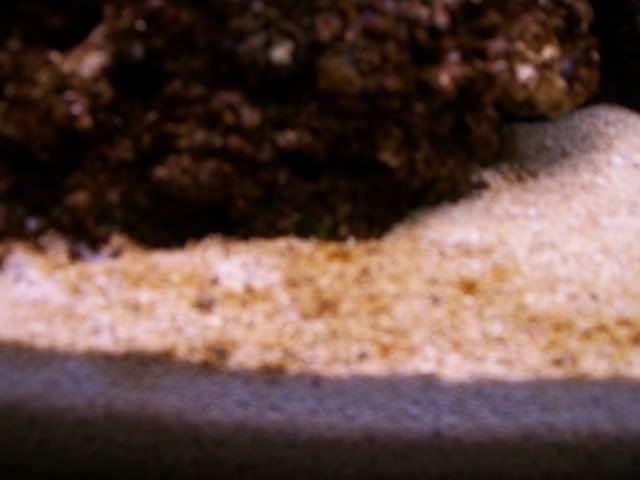 Picture005.jpg