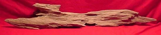 driftwood.jpg