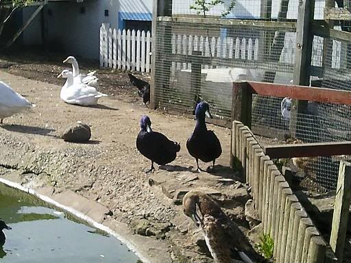 Photo0012.jpg