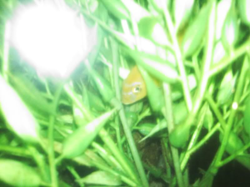 0622011820.jpg