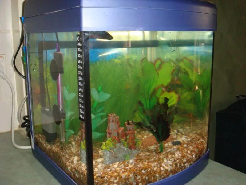 march013.jpg