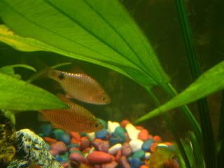 2005_0226_172239.jpg