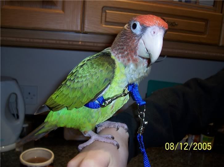 081205jake4.jpg