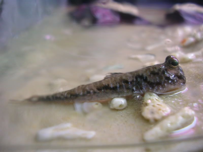 DSCN2988.jpg