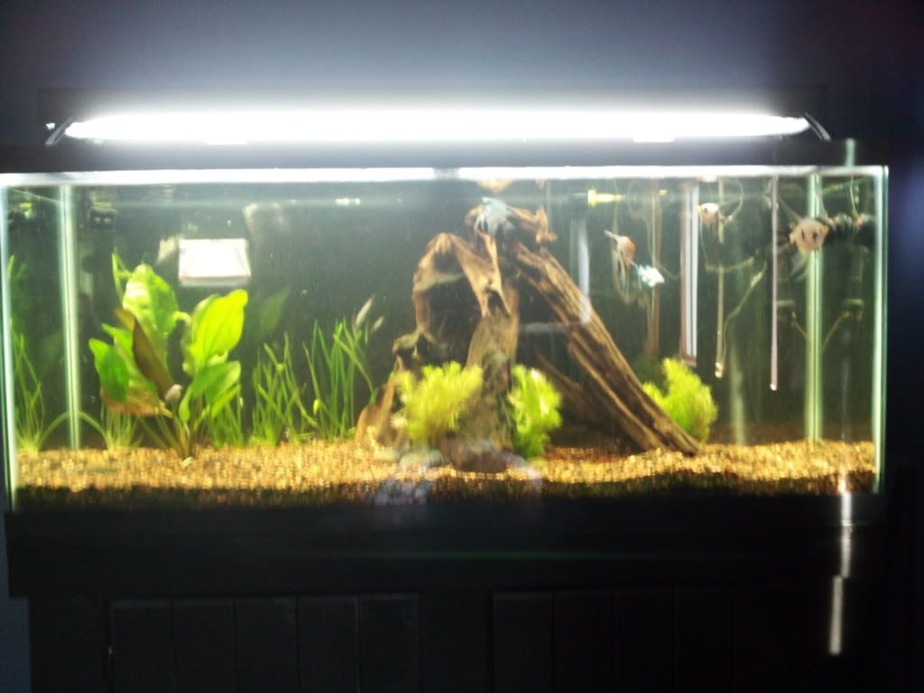 2012-06-24183329.jpg