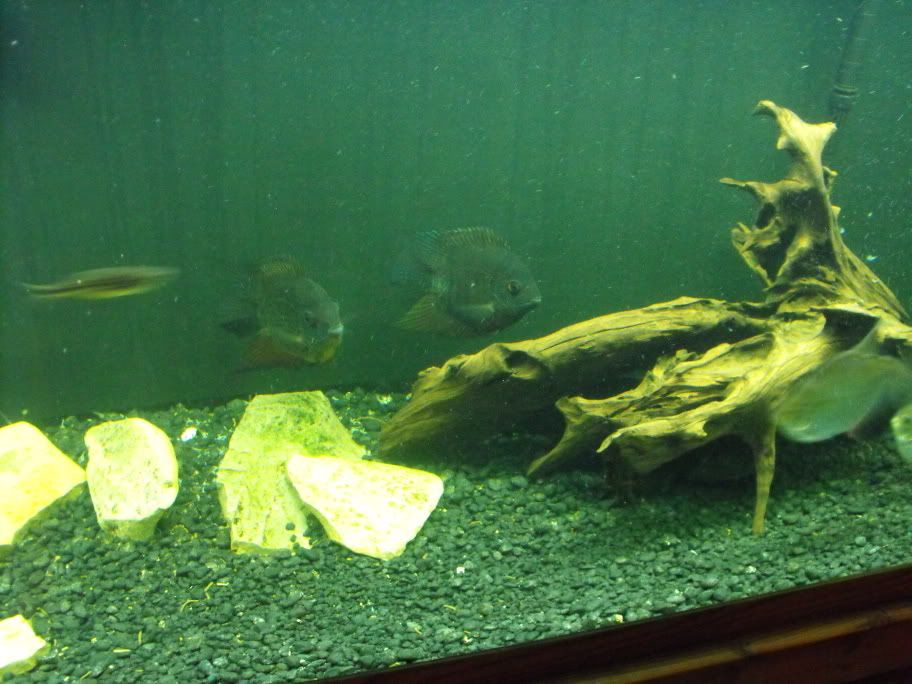 2008_1013New_90G0033.jpg