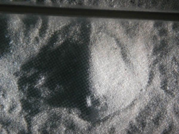 rayundersand.jpg