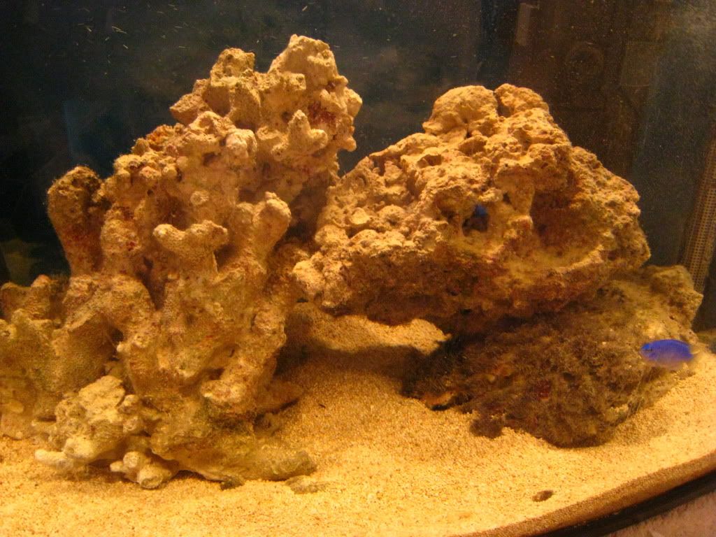 IMG_0952.jpg