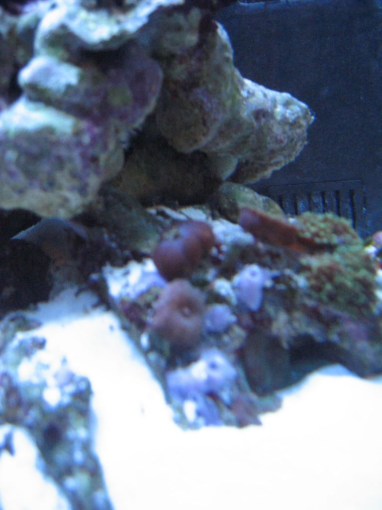 IMG_1797.jpg