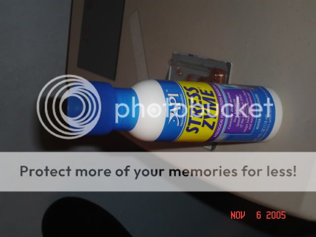 DSC02799.jpg