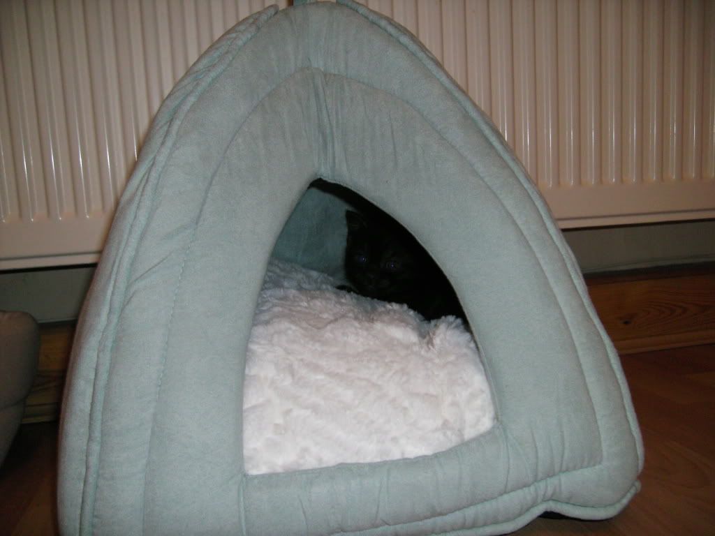 PICT0315.jpg