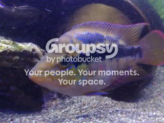 20082008252.jpg