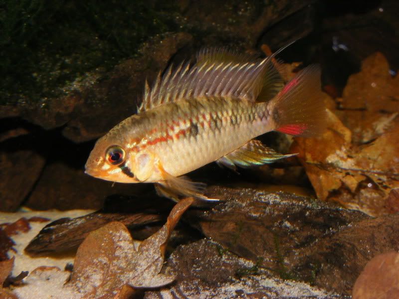 DSCF3223.jpg