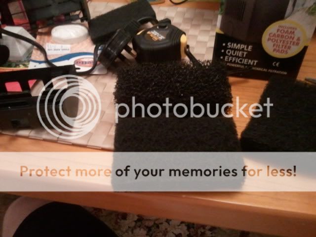 2011-03-12200111.jpg