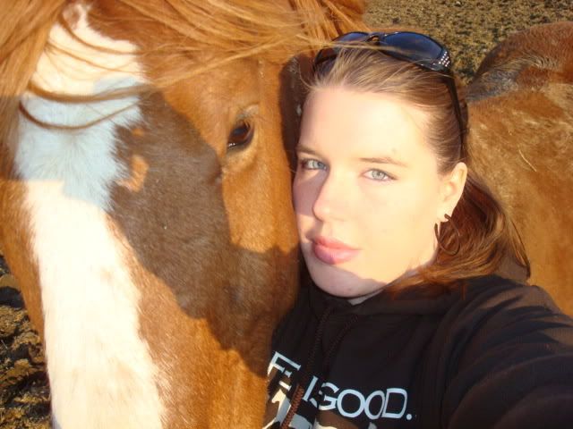 horsies013.jpg