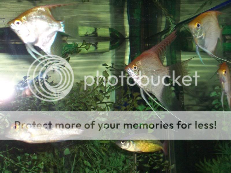 100_5902.jpg