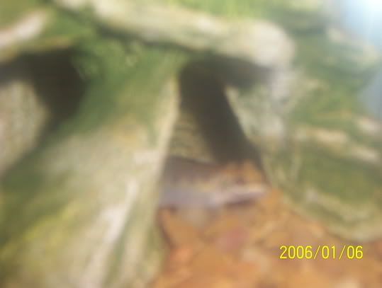 000_0733.jpg