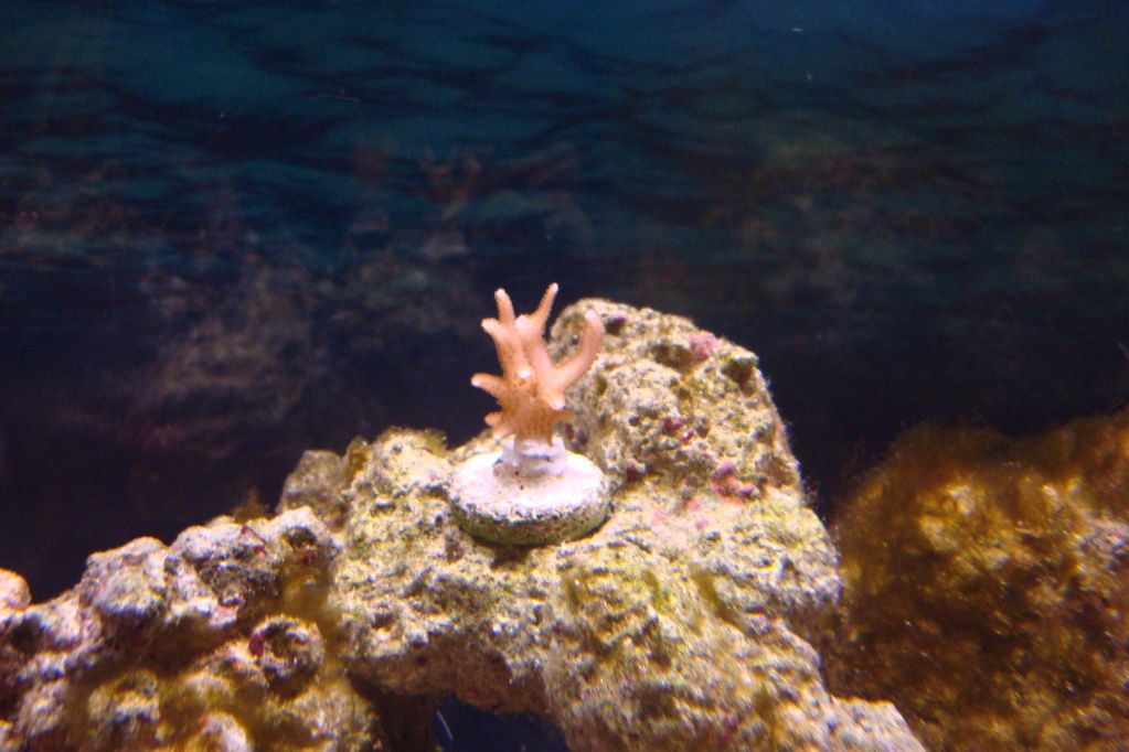 DSC02817.jpg