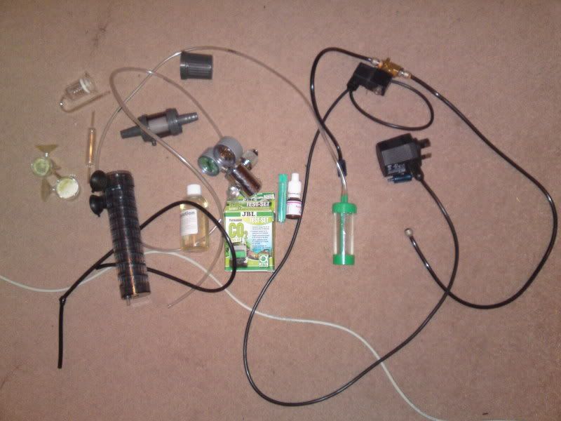 08122010184.jpg