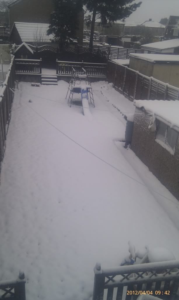 IMAG0316.jpg