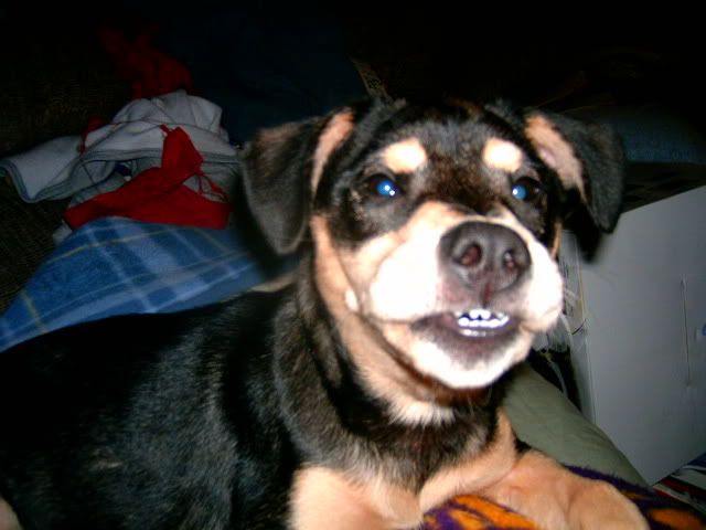 funnyface.jpg