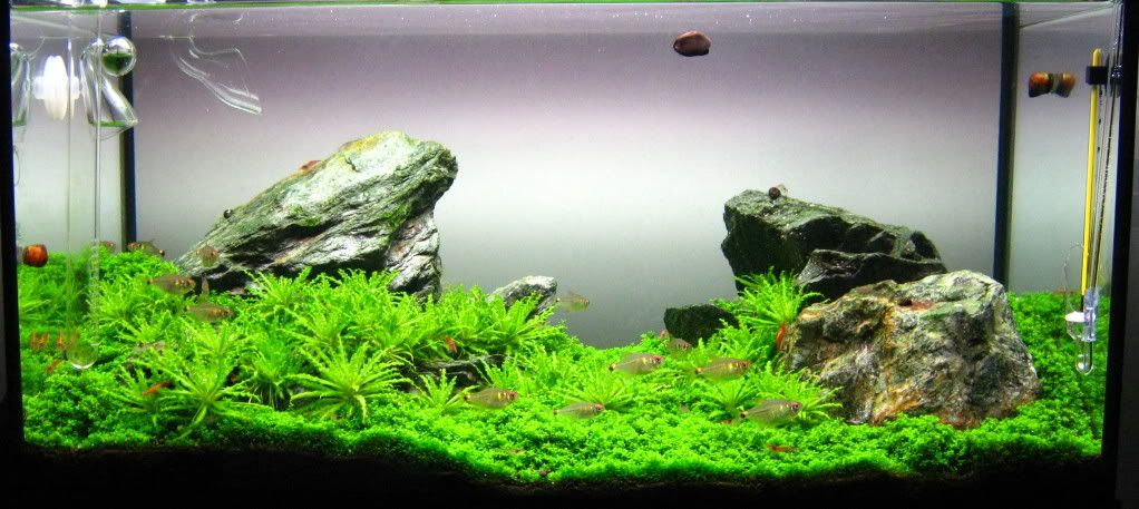 25-11-10.jpg
