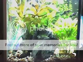 13-05-06_2111.jpg