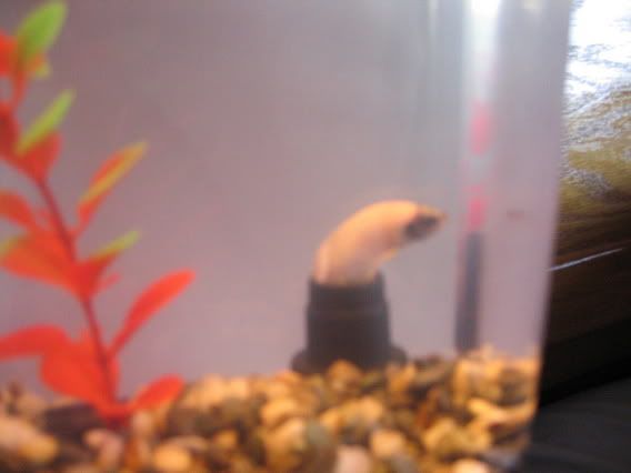 100_0026.jpg