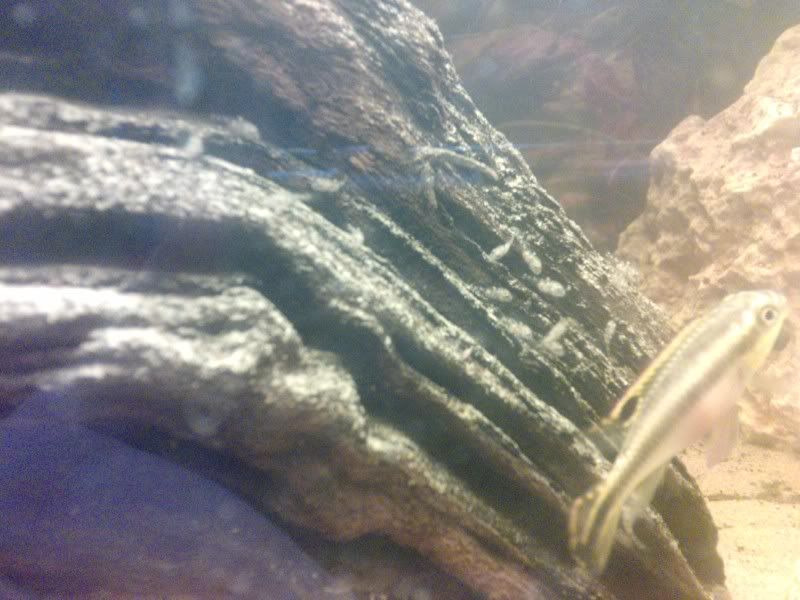 P174602_15-03-10jpg.jpg