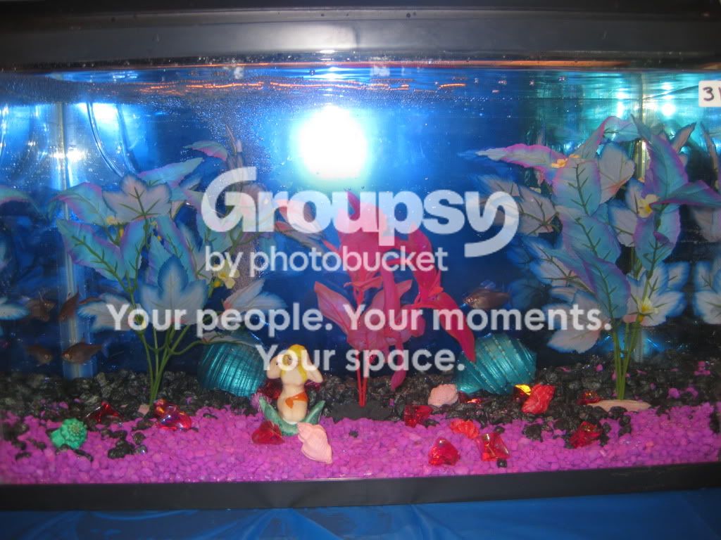 SpringFishExpo10047.jpg